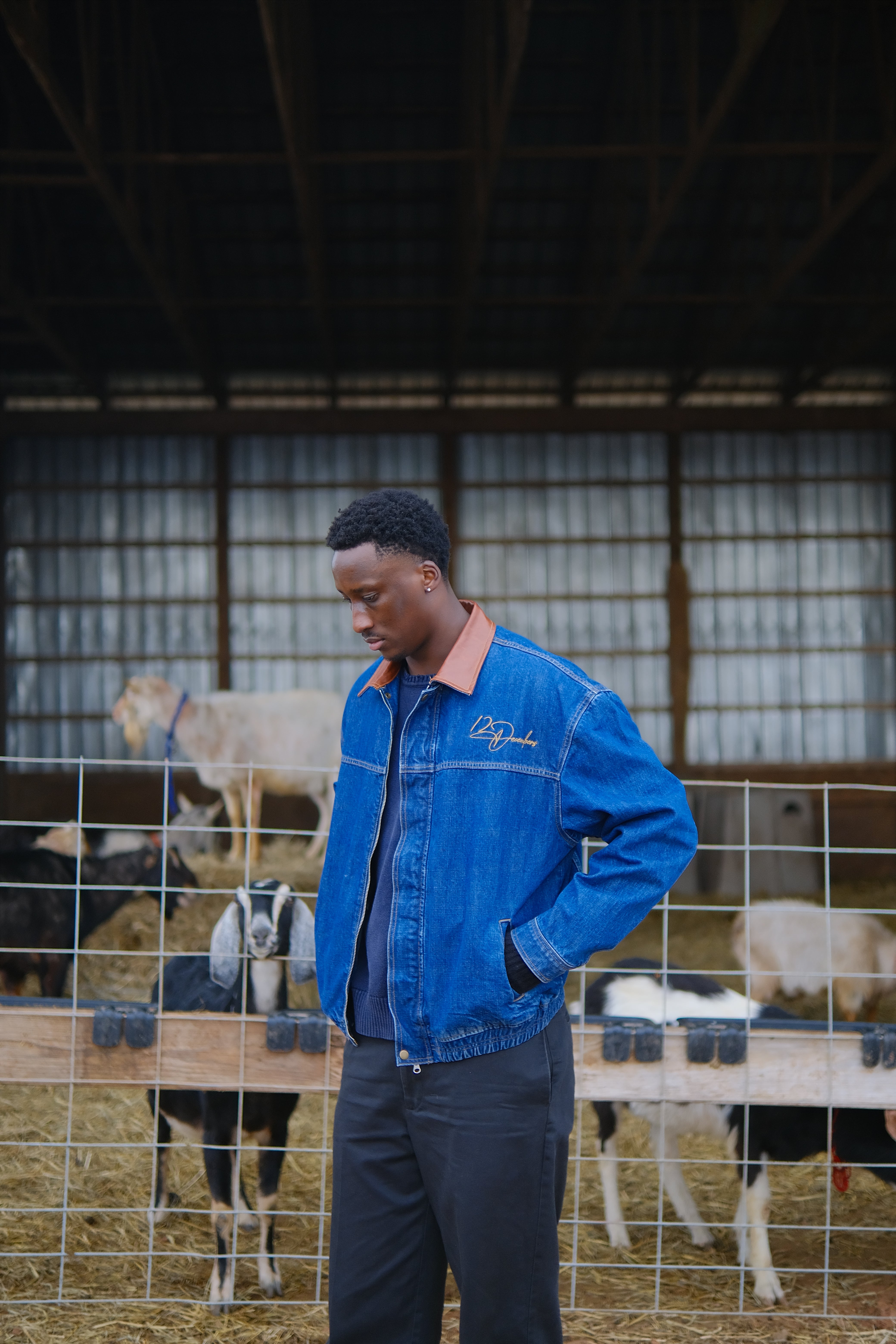12 JAPANESE DENIM BOMBER